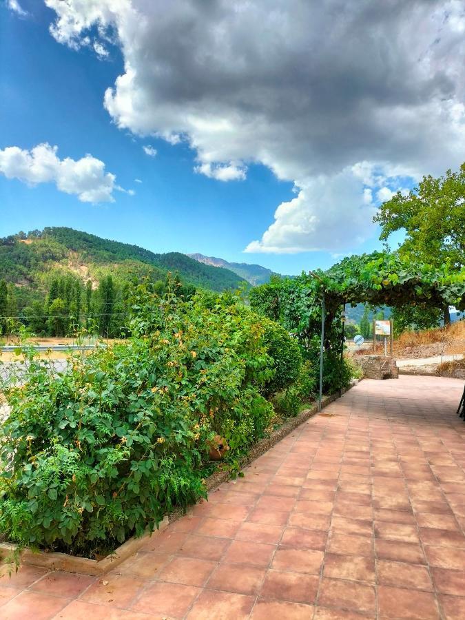 Casa Arroyo De La Celada Riópar Екстериор снимка